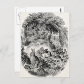 ヴィンテージバニーウサギ1800年代バニーズウサギ ポストカード (正面/裏面)