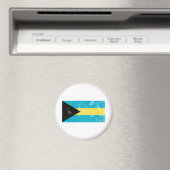 ヴィンテージバハマ マグネット (インサイチュ (食洗機))