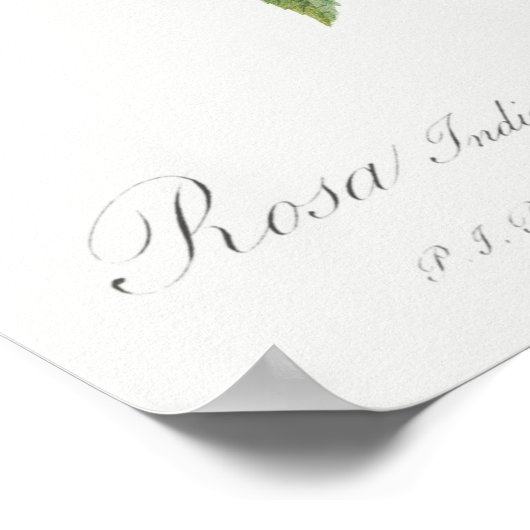 ヴィンテージバライラストレーション ポスター (角)