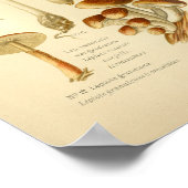 ヴィンテージバラエティーブラウンマッシュルームアートプリント フランスの ポスター (角)