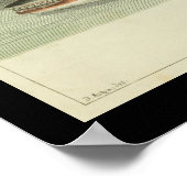 ヴィンテージバラエナフィンクジラプリント ポスター (角)