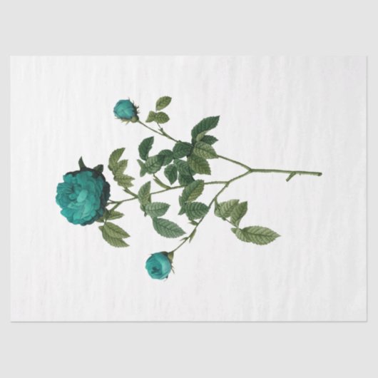 ヴィンテージバラシリーズデザイン128 薄葉紙 (正面)