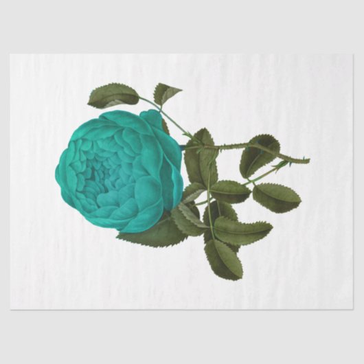 ヴィンテージバラシリーズデザイン135 薄葉紙 (正面)