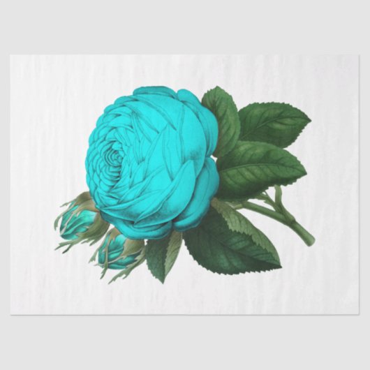 ヴィンテージバラシリーズデザイン138 薄葉紙 (正面)