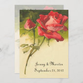 ヴィンテージバラ招待状 招待状 (正面/裏面)