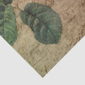 ヴィンテージバラ書音楽のデコペ動揺してージ 薄葉紙 (詳細)