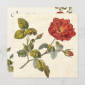 ヴィンテージバラ植物学誕生日ガーデンパーティー 招待状 (正面/裏面)