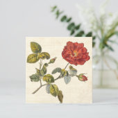 ヴィンテージバラ植物学誕生日ガーデンパーティー 招待状 (スタンド正面)