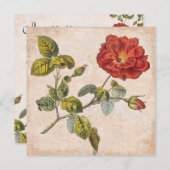 ヴィンテージバラ植物学誕生日ガーデンパーティー 招待状 (正面/裏面)