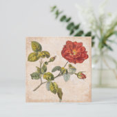 ヴィンテージバラ植物学誕生日ガーデンパーティー 招待状 (スタンド正面)