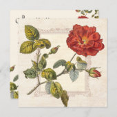 ヴィンテージバラ植物学誕生日ガーデンパーティー 招待状 (正面/裏面)