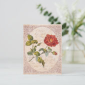 ヴィンテージバラ植物学誕生日ガーデンパーティー 招待状 (スタンド正面)