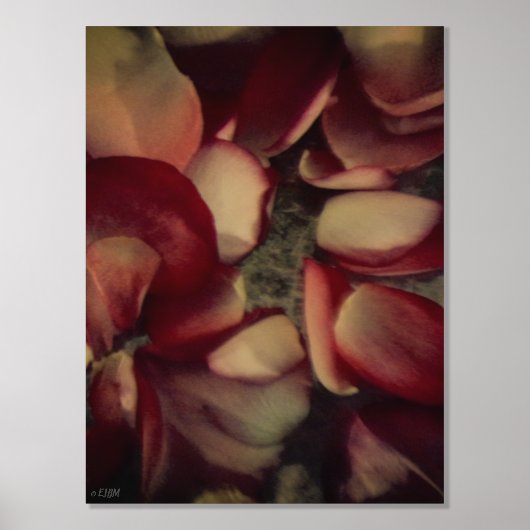 ヴィンテージバラ花びら金ゴールド又は銀箔プリント 箔ポスター (正面)