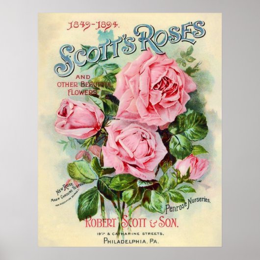 ヴィンテージバラ花カタログ表紙イラストレーション ポスター (正面)