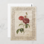 ヴィンテージバラ2 ポストカード (正面/裏面)