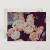 ヴィンテージバラ4号 ポストカード (正面/裏面)