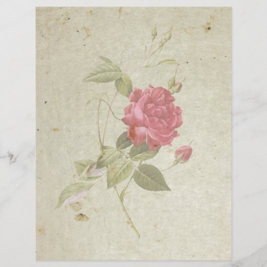 ヴィンテージバラ8.5インチx 11インチフラット紙シート (正面)