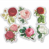 ヴィンテージバラ、かわいらしフローラシール シール (正面)