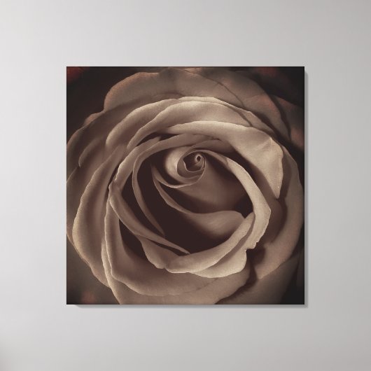 ヴィンテージバラ キャンバスプリント (正面)