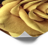 ヴィンテージバラ ポスター (角)