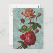 ヴィンテージバラ ポストカード (正面/裏面)