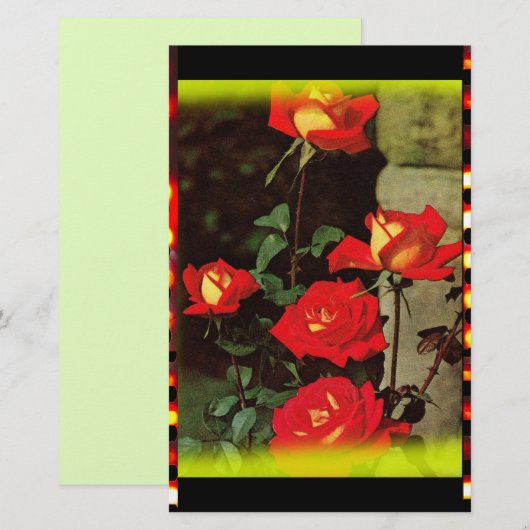 ヴィンテージバラ 便箋 (正面/裏面)