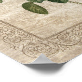 ヴィンテージバラIII植物学 ポスター (角)