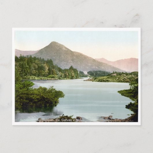 ヴィンテージバリーナヒンチ株式会社ゴールウェイアイルランドc1895 ポストカード (正面)