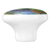 ヴィンテージバンゴッホポンデクリシー セラミックノブ (側面)