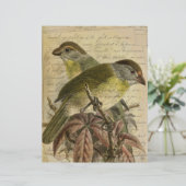 ヴィンテージバーズエフェメラスクラップブック紙 (スタンド正面)