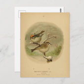 ヴィンテージバーズゴールデンクラウンキングレットフォーゲルウェルト ポストカード (正面/裏面)