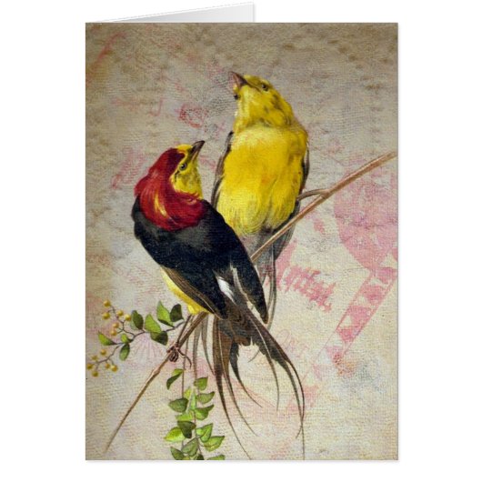 ヴィンテージバーズレーステクスチャすべての行事 (正面)