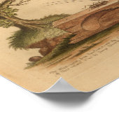 ヴィンテージバードイエロークリケットプリント ポスター (角)