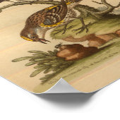 ヴィンテージバードイエロースペクトルプリント ポスター (角)