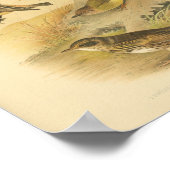 ヴィンテージバードイエローブラウンプリント ポスター (角)