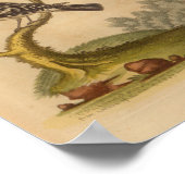 ヴィンテージバードイエローブラックプリント ポスター (角)