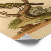 ヴィンテージバードイエローレッドプリント ポスター (角)