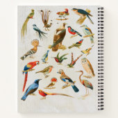 ヴィンテージバードイラストレーション野鳥観察ラバーギフト ノートブック (裏面)