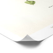 ヴィンテージバードイラストレーション – シスキン ポスター (角)