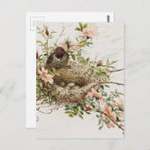 ヴィンテージバードインネストアニマルプリント ポストカード (正面/裏面)