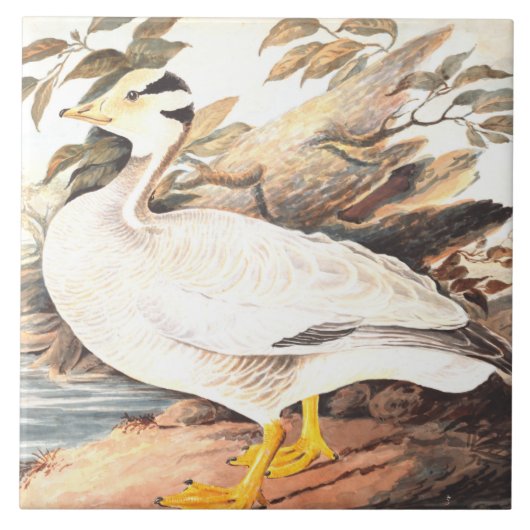 ヴィンテージバードエリザベスグウィリアムバー頭ガチョウ タイル (正面)