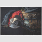 ヴィンテージバードオウム海賊デコペティッシュペーパー 薄葉紙 (正面)