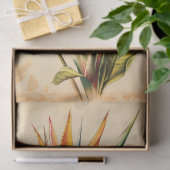 ヴィンテージバードオブパラダイスイラストレーションデコpage 薄葉紙 (ギフト)