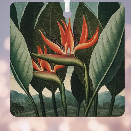 ヴィンテージバードオブパラダイスボタニカルテンプルオブフローラ メタルオーナメント