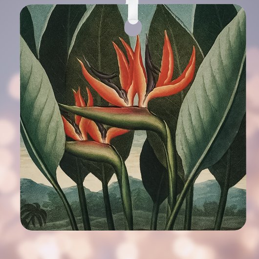 ヴィンテージバードオブパラダイスボタニカルテンプルオブフローラ メタルオーナメント