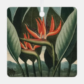 ヴィンテージバードオブパラダイスボタニカルテンプルオブフローラ メタルオーナメント (正面)