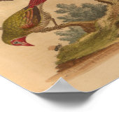 ヴィンテージバードグリーンレッドプリント ポスター (角)