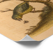 ヴィンテージバードグリーンレッドプリント ポスター (角)