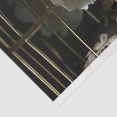 ヴィンテージバードケージハットフローラ分離 薄葉紙 (詳細)