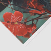 ヴィンテージバードケージハットフローラ分離 薄葉紙 (詳細)